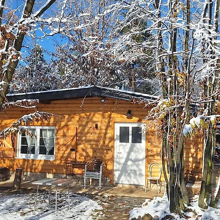 Forest Fairytale Obrovac